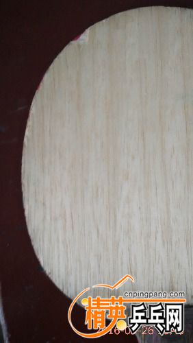 IMG_20160926_134352.jpg