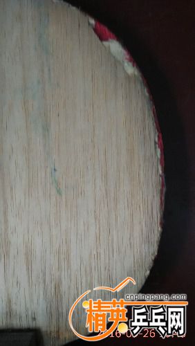 IMG_20160926_134346.jpg