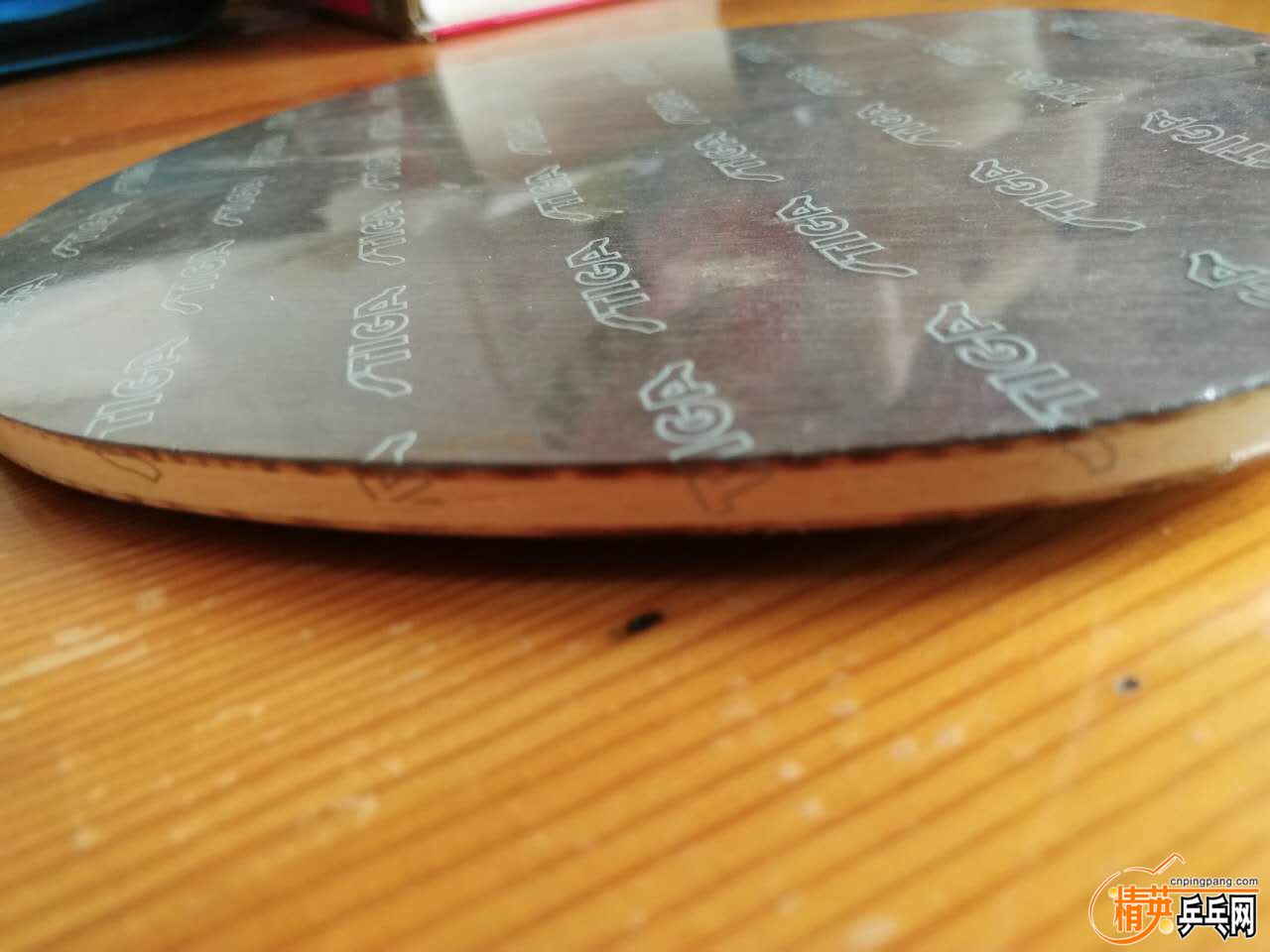 506096516311732936.jpg
