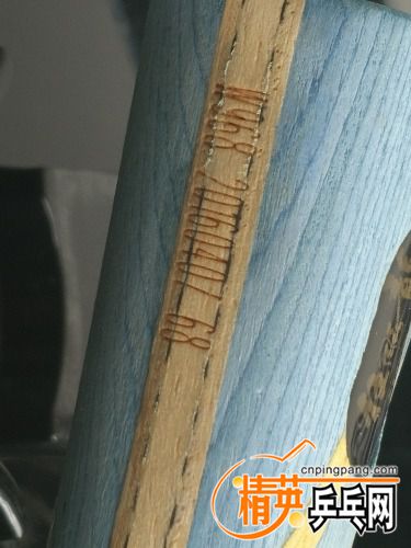 IMG20160509134550.jpg