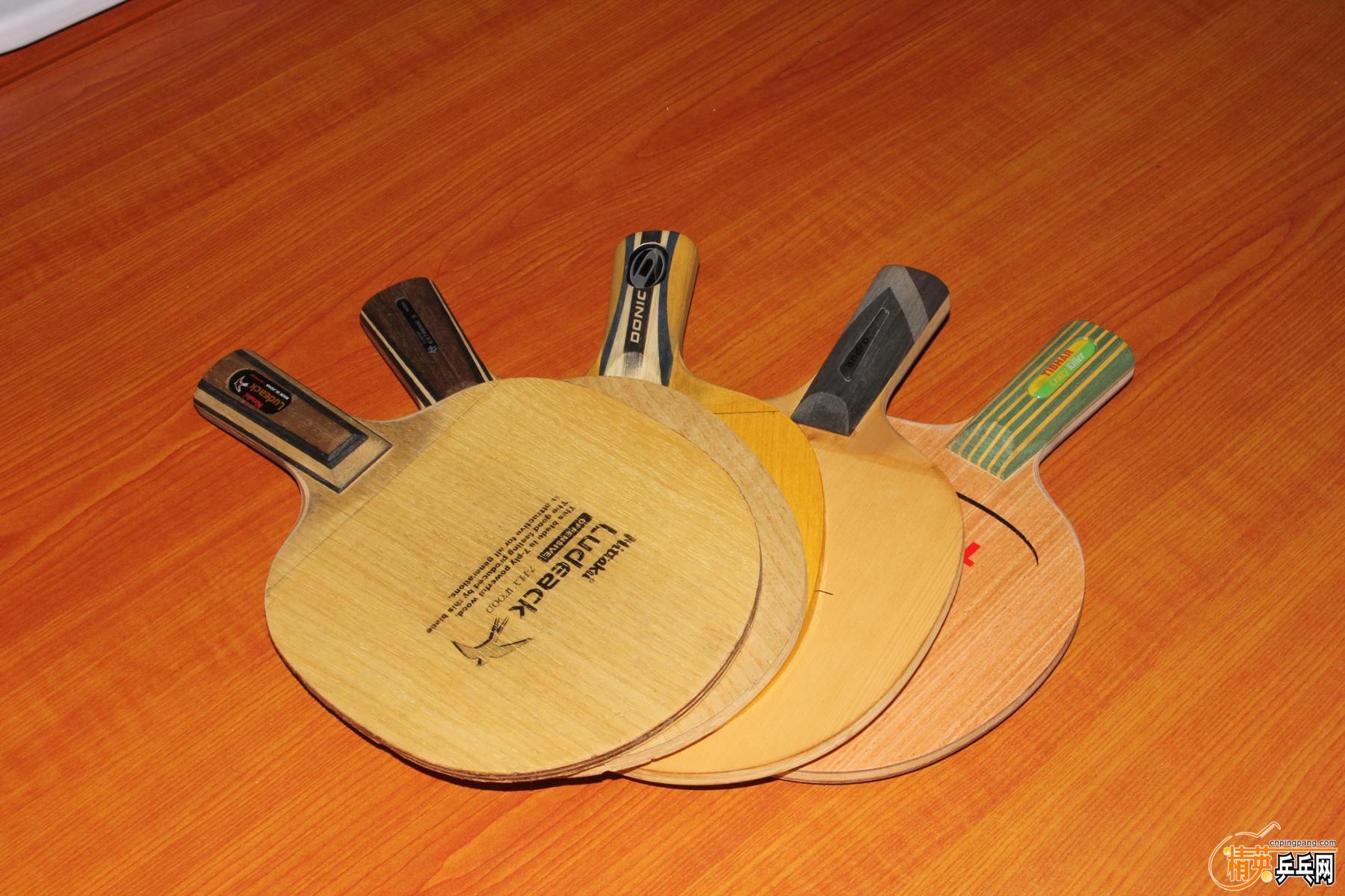 K1600_IMG_1498.JPG