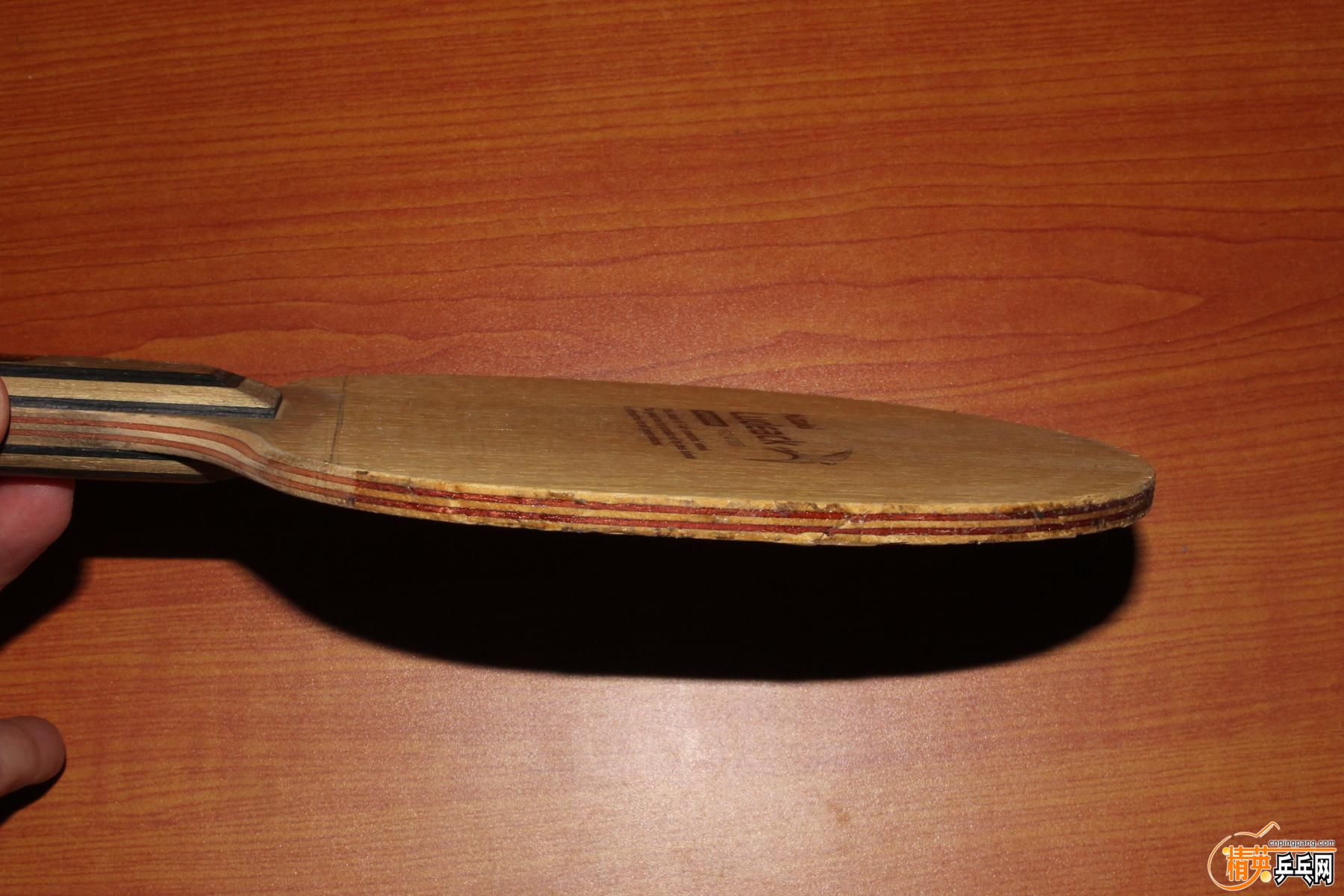 K1600_IMG_1503.JPG