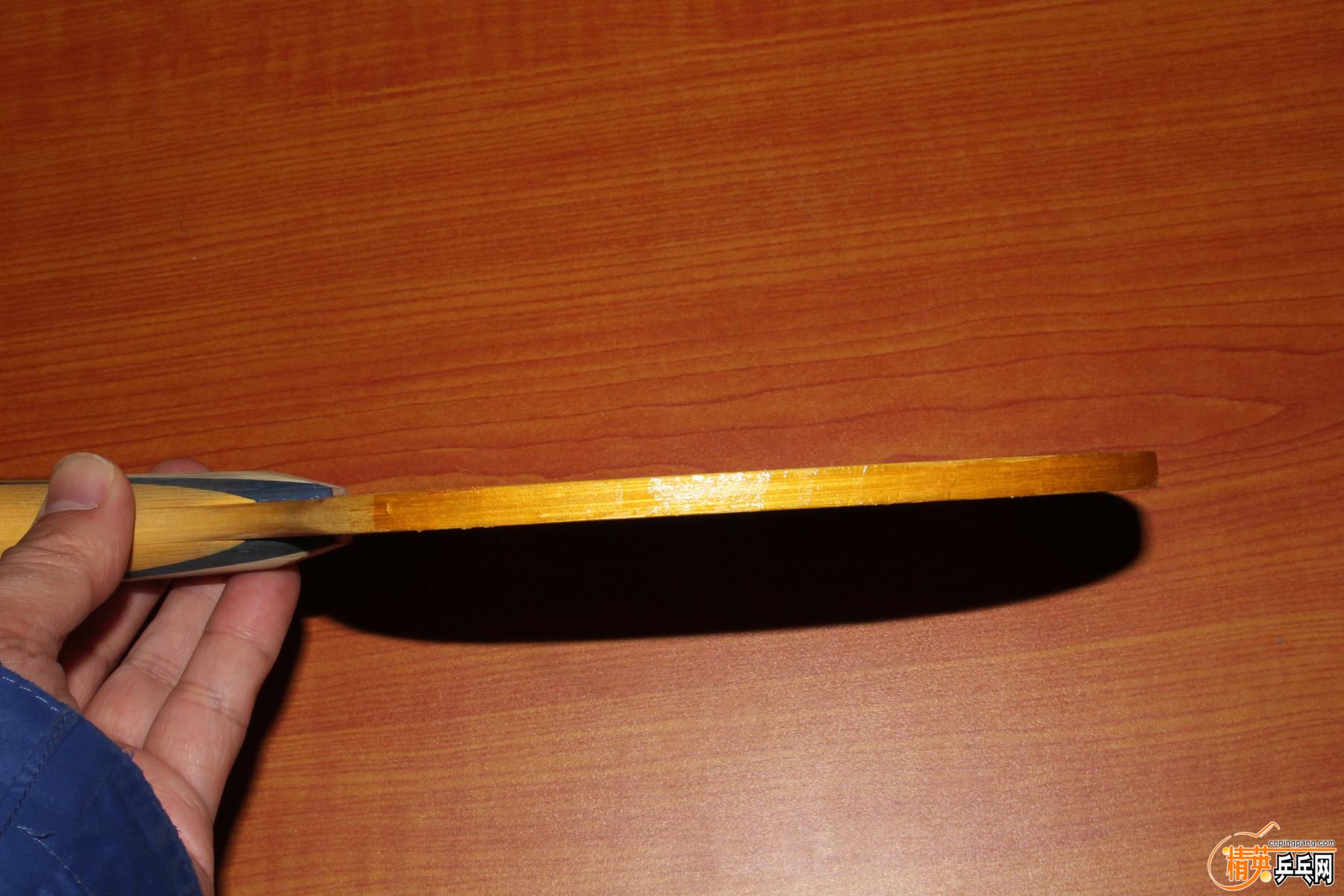 K1600_IMG_1518.JPG