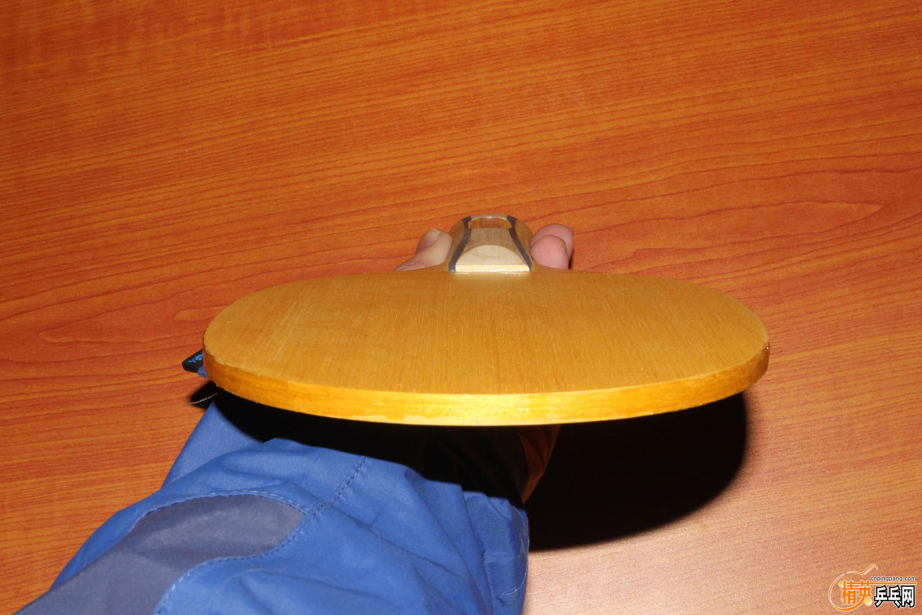K1600_IMG_1519.JPG
