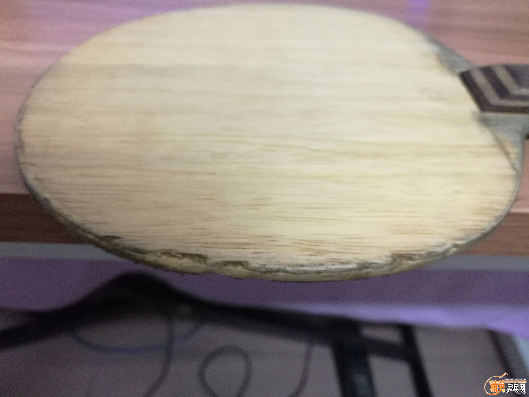 1008_15.jpg