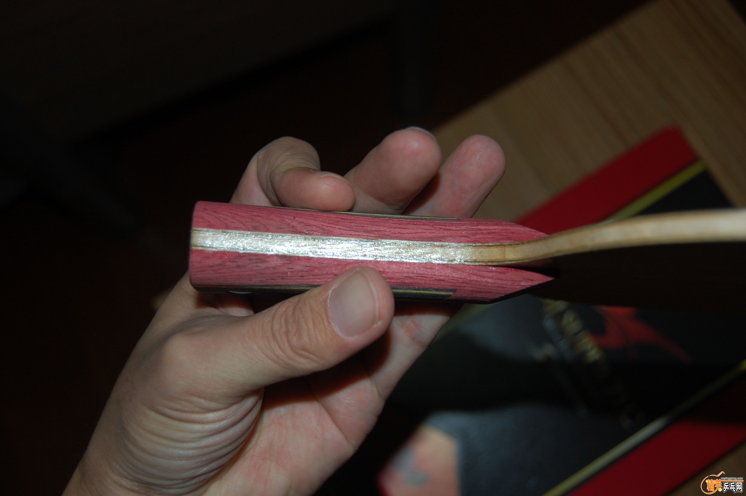 DSC_3869.JPG