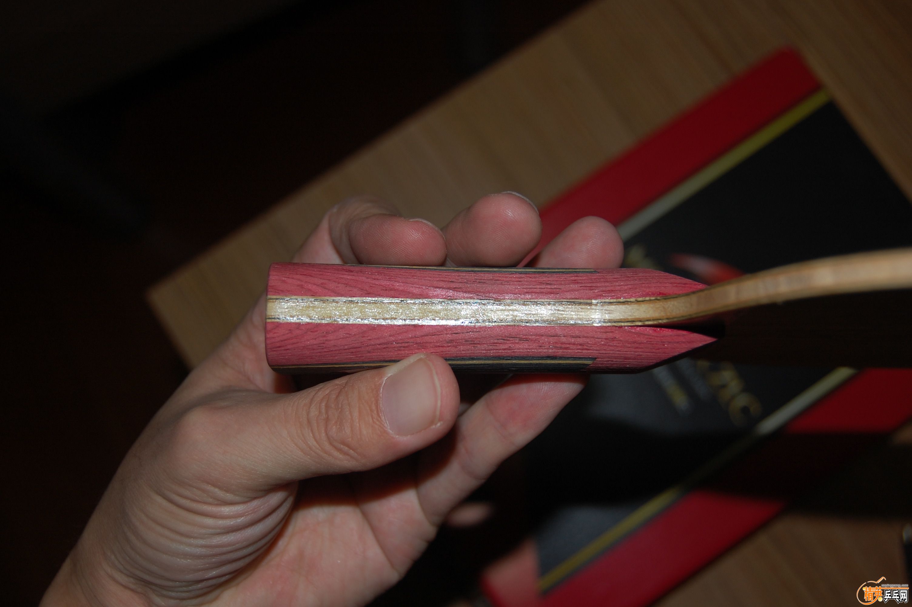 DSC_3870.JPG