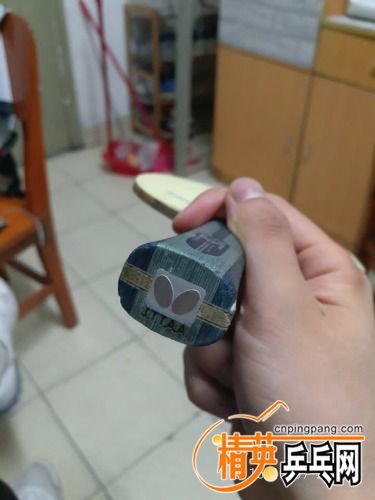 -13d916da5385a99.jpg