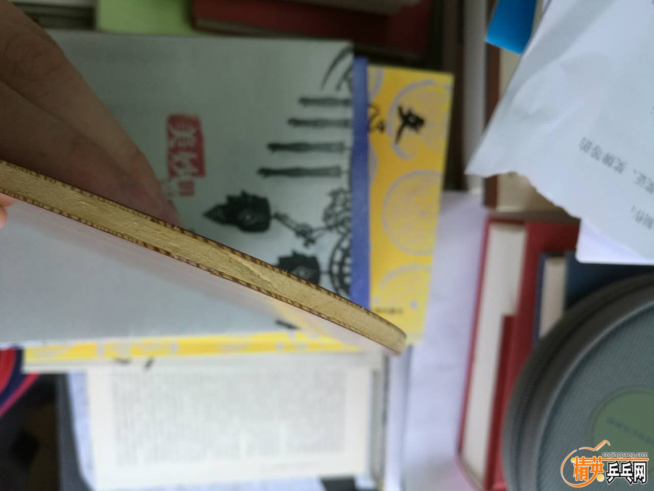 502880944519923710.jpg