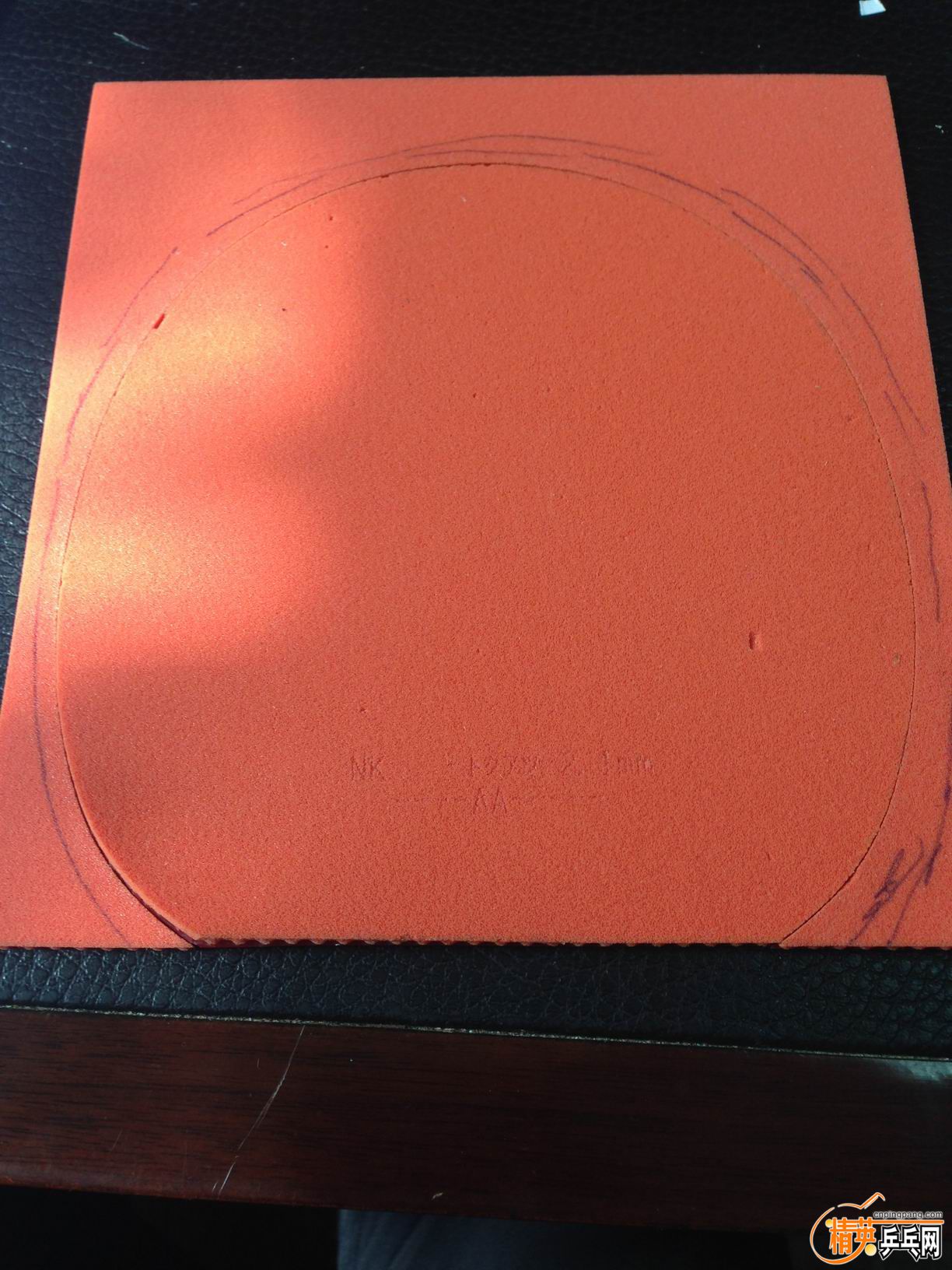 ������С IMG_1778.JPG