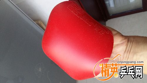 20161017_132148.jpg