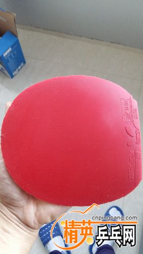 20161017_132459.jpg