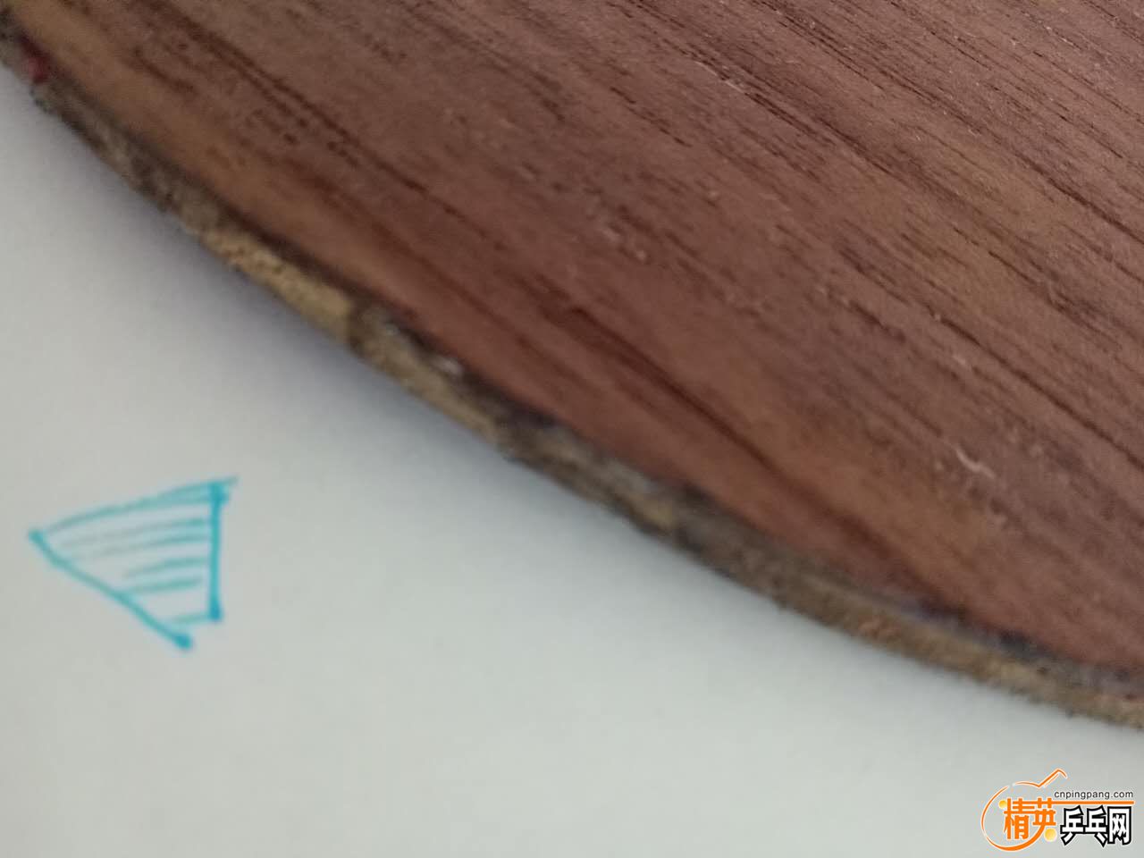 406652861645693332.jpg