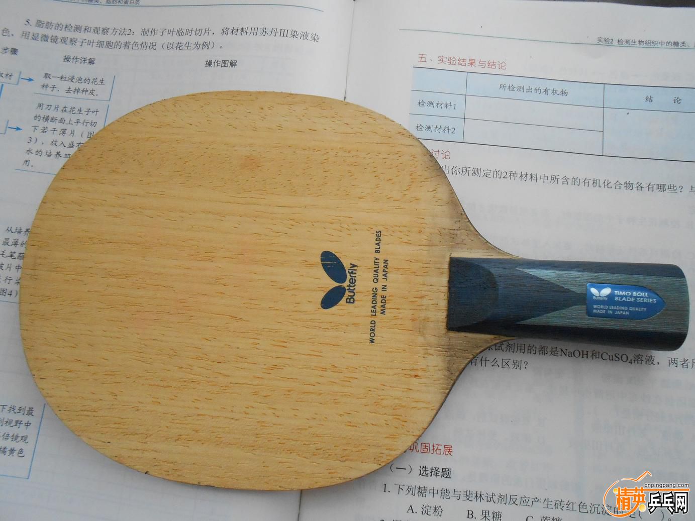 DSCN1365.jpg