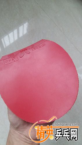 20161020_131807.jpg