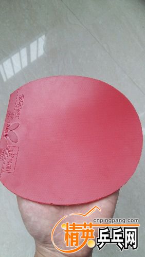 20161020_131756.jpg