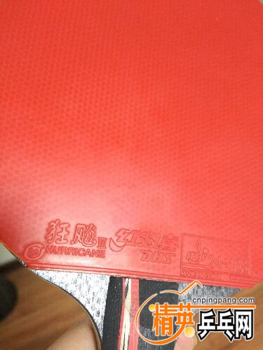 IMG_20161021_195248.jpg