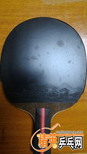 P_20161021_193731.jpg