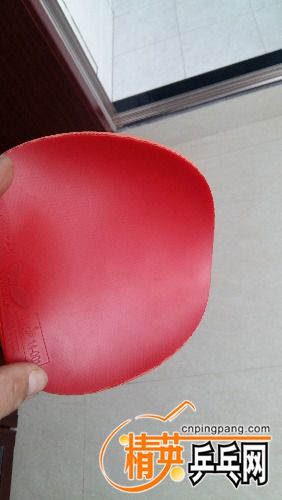 20161022_150327.jpg
