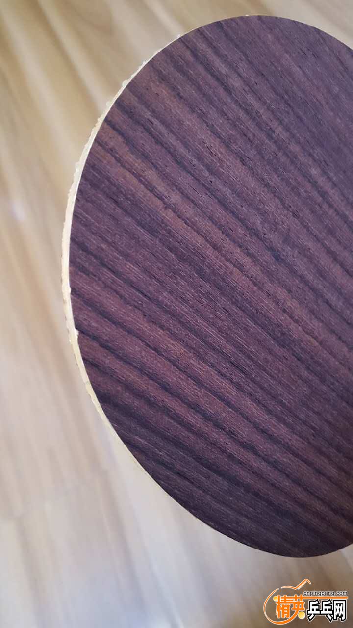P5.jpg