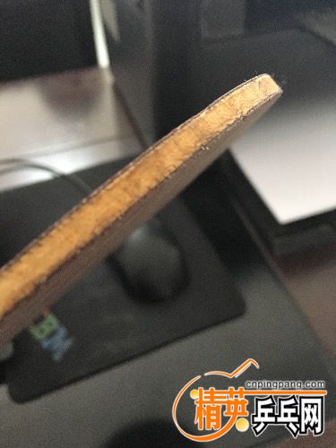 image.jpeg