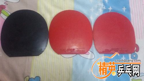 20161027_115300.jpg