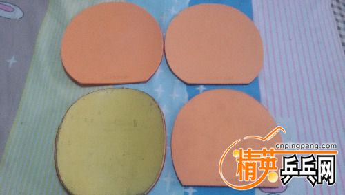 20161027_121813.jpg
