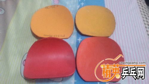 20161027_123624.jpg