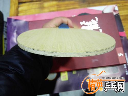 IMG_20161027_171251_o,.jpg