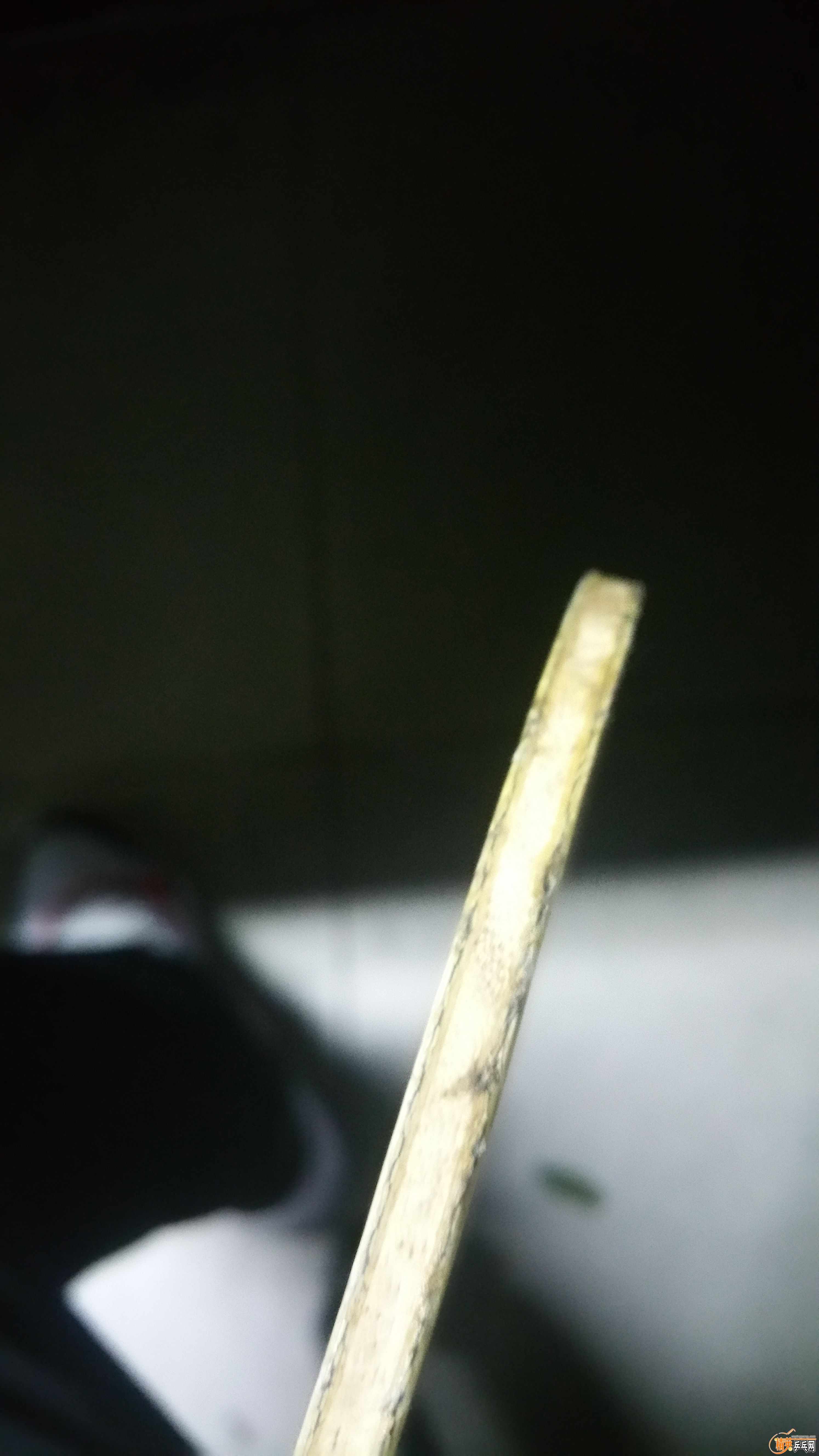 20161030_145234.jpg