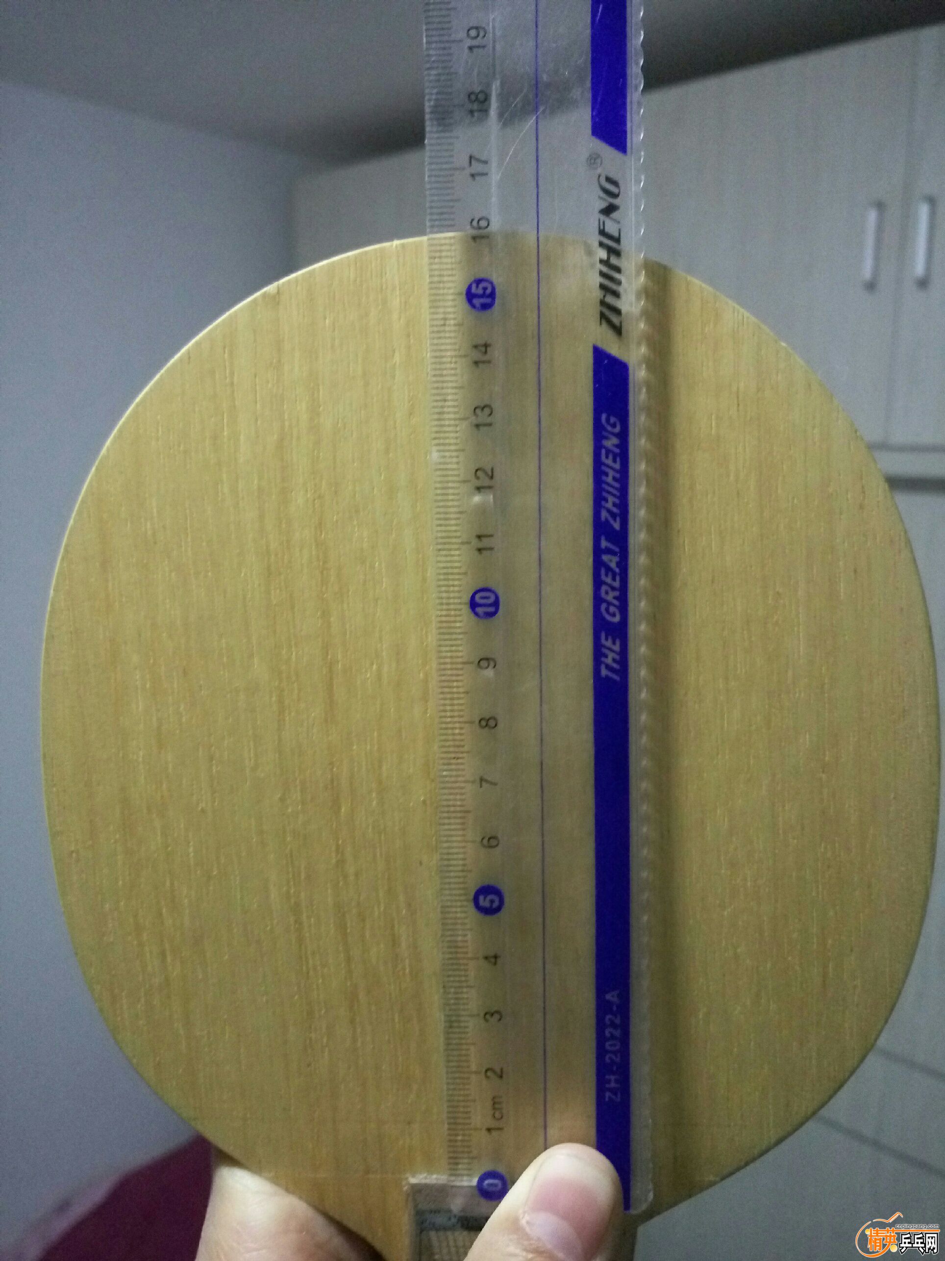 P61030-224927.jpg
