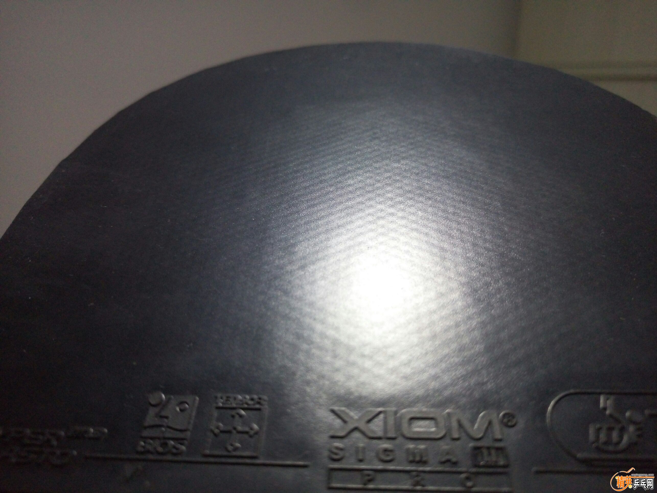 P61030-225629.jpg