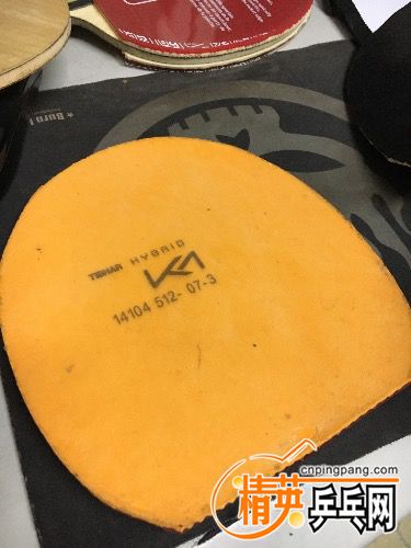 225338v1fn2xmj4rmmee5m.jpg