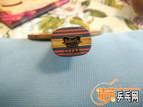 IMG_20161101_141300.jpg
