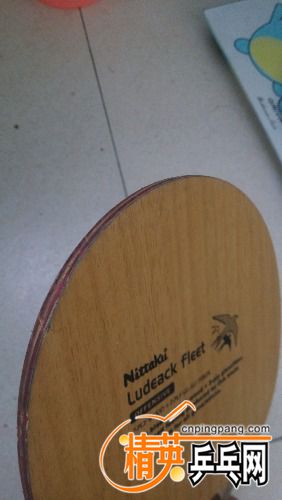 IMG_20161030_092039.jpg