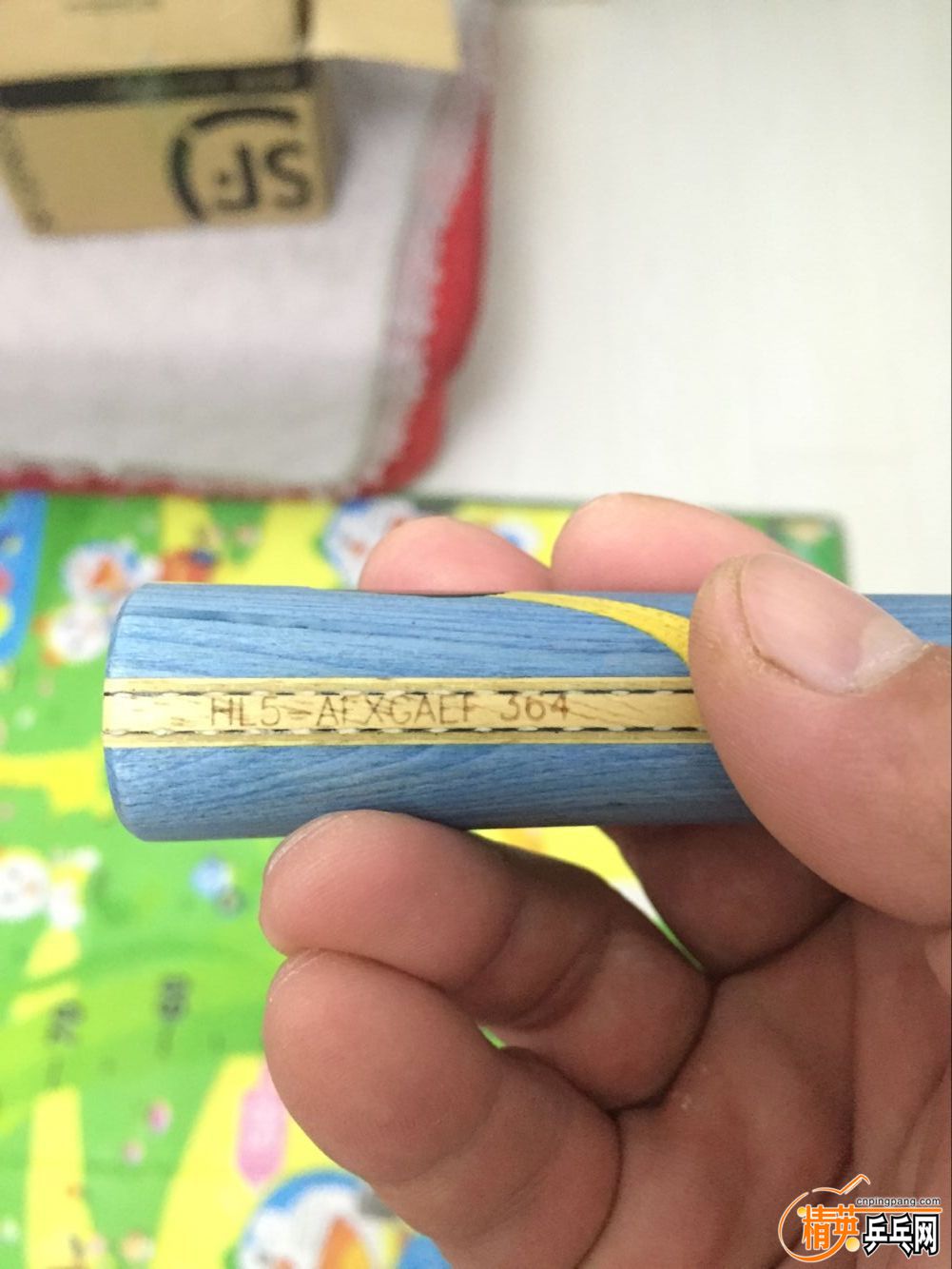 31.jpg