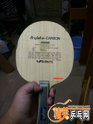 37b141cad835ad87.jpg