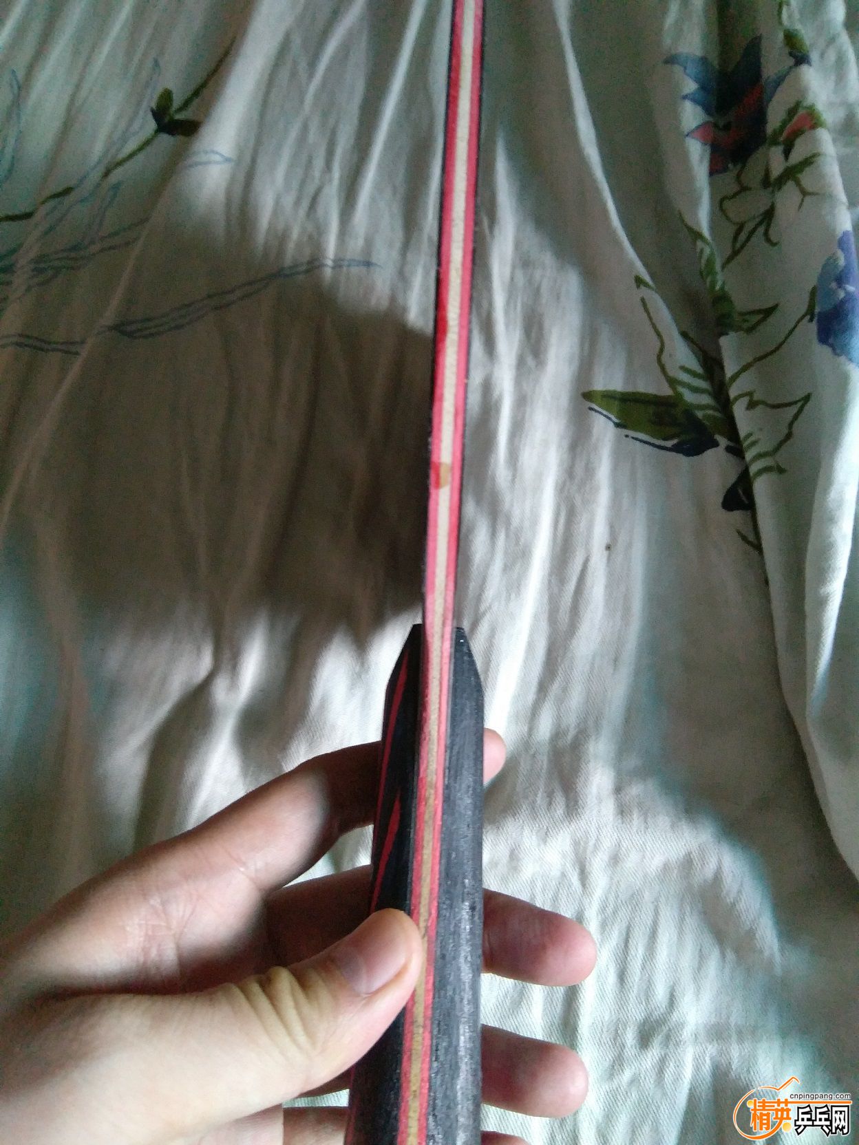 130621sii9qtc9wwqfttit.jpg