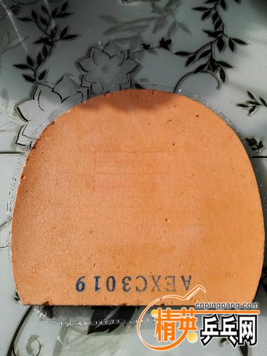 1478236160531.jpg