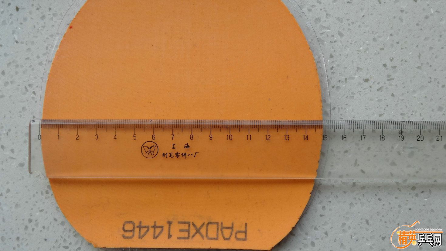 DSC01709.JPG