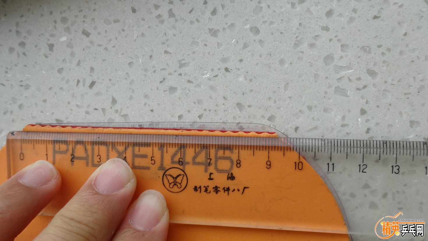 DSC01710.JPG