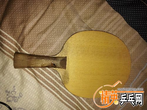 IMG_20161104_095923.jpg