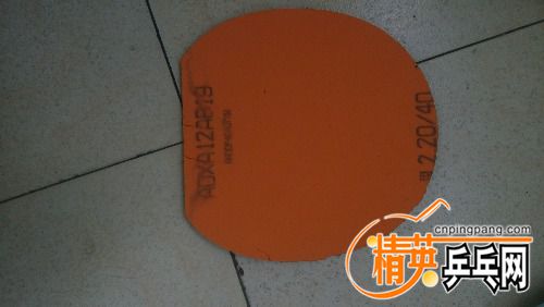 IMG_20161030_094218.jpg
