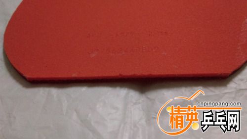 IMAG0049.jpg
