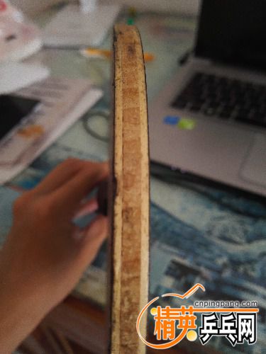 IMG20160715120435.jpg
