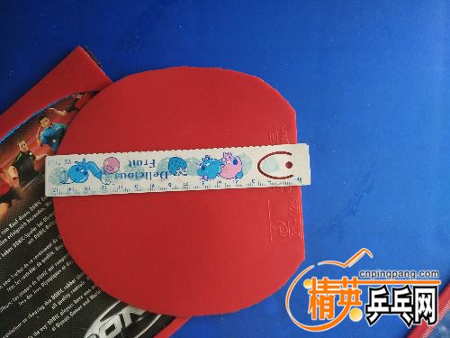 IMG_20161112_115048.jpg