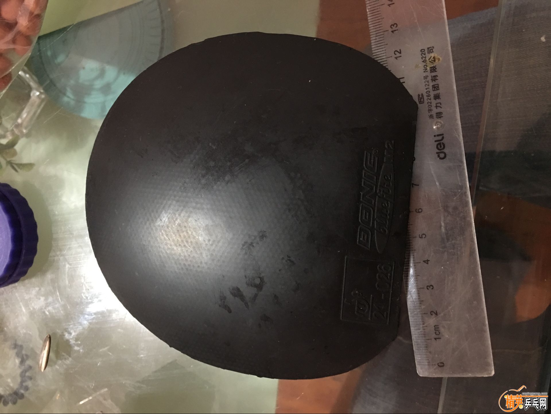 ����� ���� (2).jpg