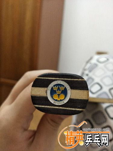 IMG20161113170805.jpg