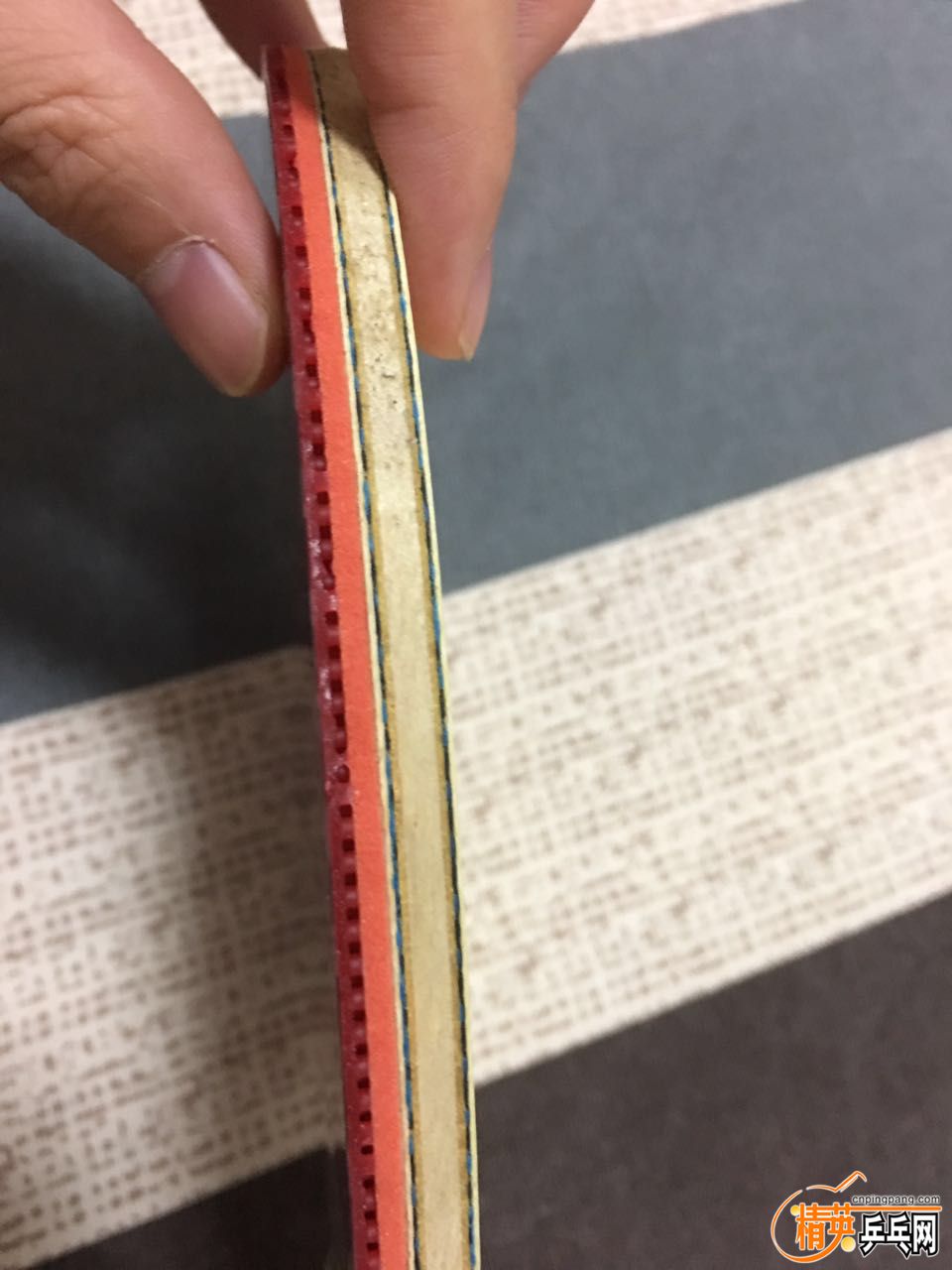 753064155043087341.jpg