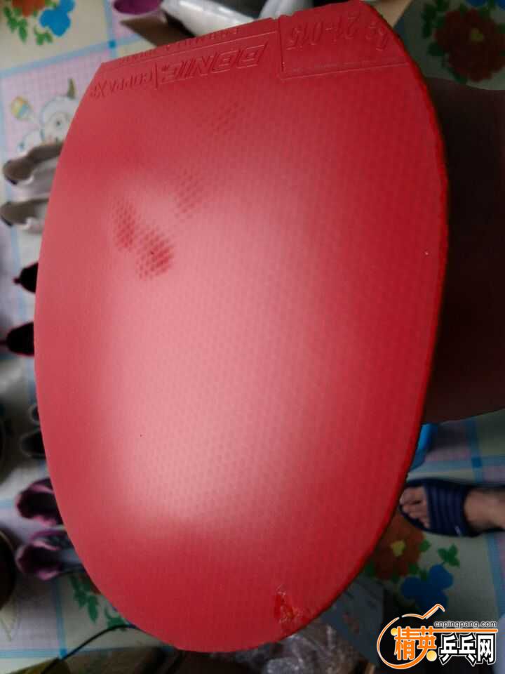 QQͼƬ20161116081449.jpg